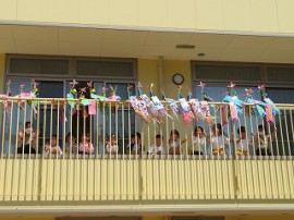 元気に泳いでいます♪