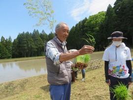 初めての田植え体験☆