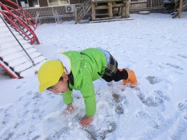 雪がつもったよー!!