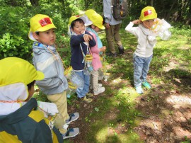 里山こども園がありました✨