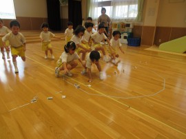 昨日の様子🎵
