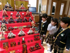 お雛様飾りました✨