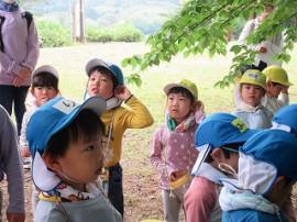 里山こども園