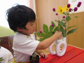 今日の活動