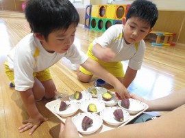 サツマイモの試食